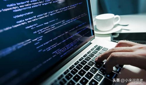 计算机专业 褪去浮华，理性看待软硬件领域的未来之路